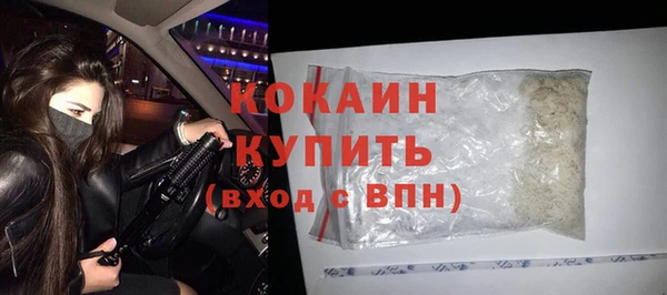прущие грибы Туринск