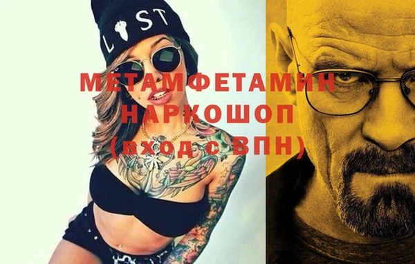 прущие грибы Туринск