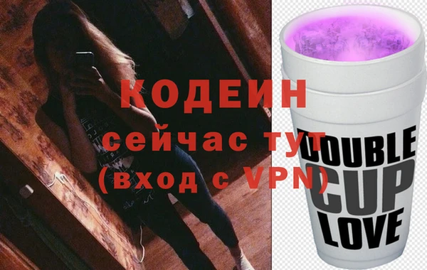 прущие грибы Туринск