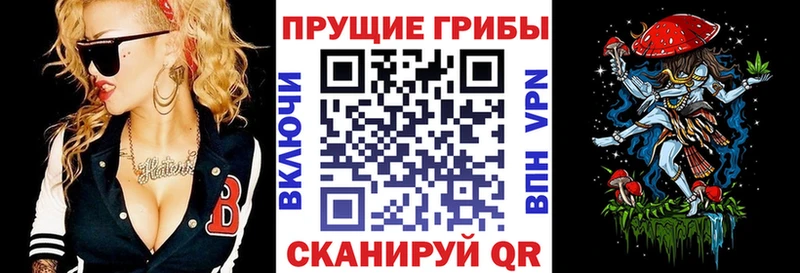 дарк нет клад  Дорогобуж  Псилоцибиновые грибы мицелий 